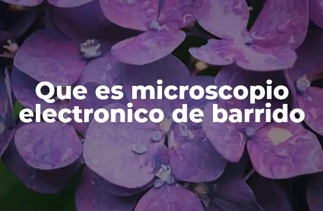 Que es Microscopio Electronico de Barrido