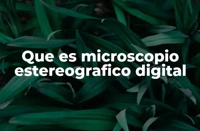 Que es Microscopio Estereografico Digital