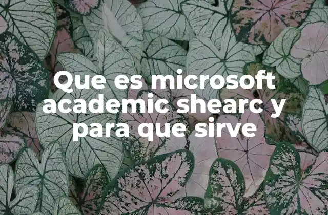 Que es Microsoft Academic Shearc y para que Sirve