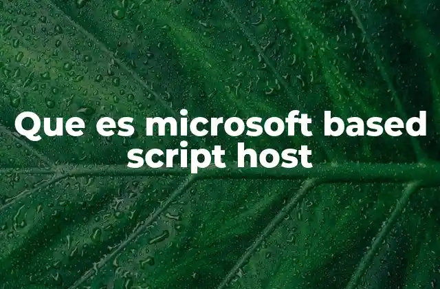 Que es Microsoft Based Script Host