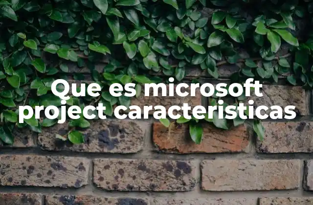 Que es Microsoft Project Caracteristicas
