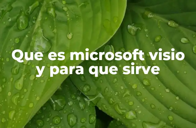 Ventajas de usar Microsoft Visio en la gestión empresarial