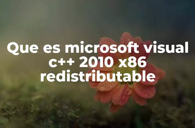 Que es Microsoft Visual C++ 2010 X86 Redistributable