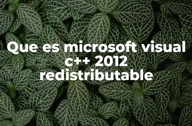 Que es Microsoft Visual C++ 2012 Redistributable 2 Componentes esenciales para el funcionamiento de aplicaciones C++