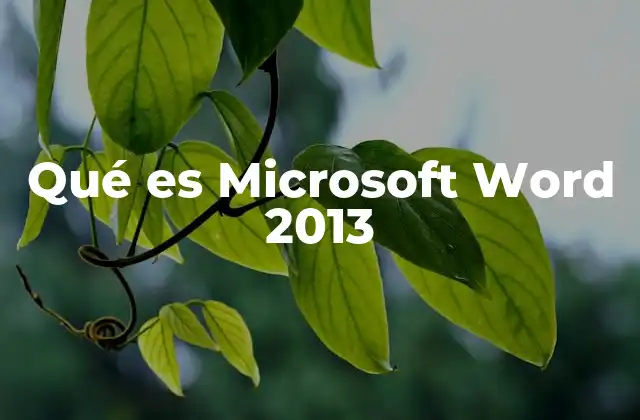 Qué es Microsoft Word 2013