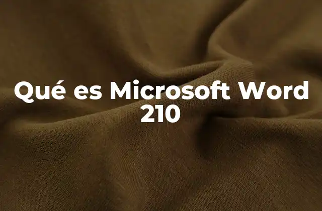 Qué es Microsoft Word 210