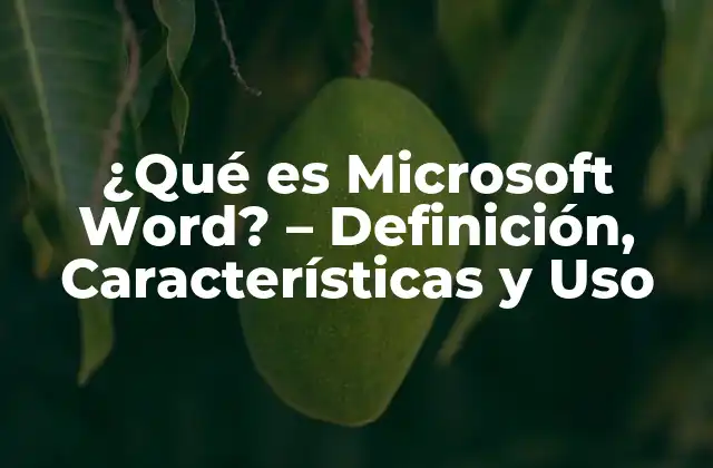 ¿qué es Microsoft Word? - Definición, Características y Uso 2 Historia de Microsoft Word
