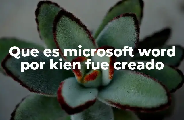 Que es Microsoft Word por Kien Fue Creado 2 El origen de Microsoft Word y su evolución