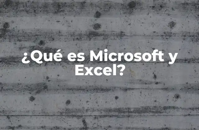 ¿qué es Microsoft y Excel?