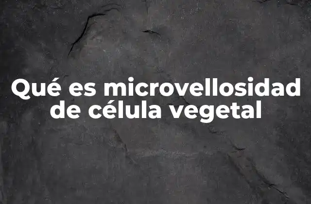Qué es Microvellosidad de Célula Vegetal 2 El papel de las microvellosidades en la fisiología vegetal