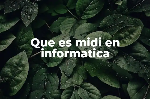 Que es Midi en Informatica