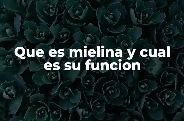 Que es Mielina y Cual es Su Funcion