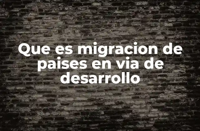 Que es Migracion de Paises en Via de Desarrollo