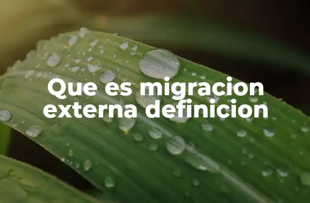 Que es Migracion Externa Definicion