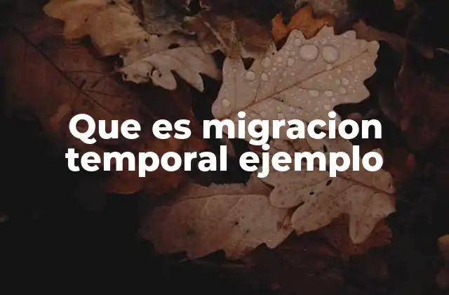 Que es Migracion Temporal Ejemplo