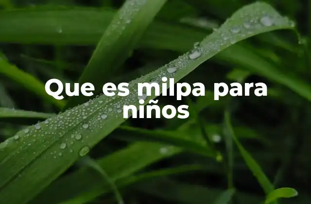 Que es Milpa para Niños