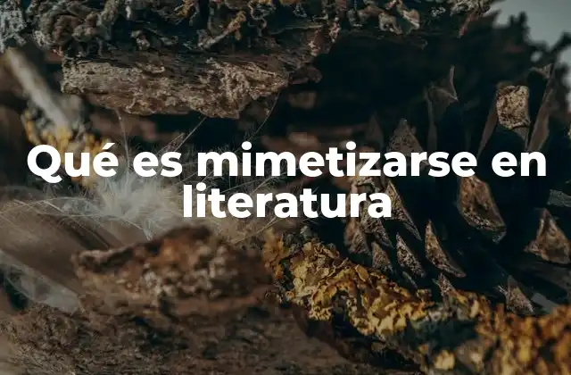 Qué es Mimetizarse en Literatura