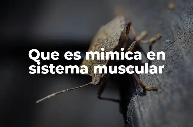 Que es Mimica en Sistema Muscular