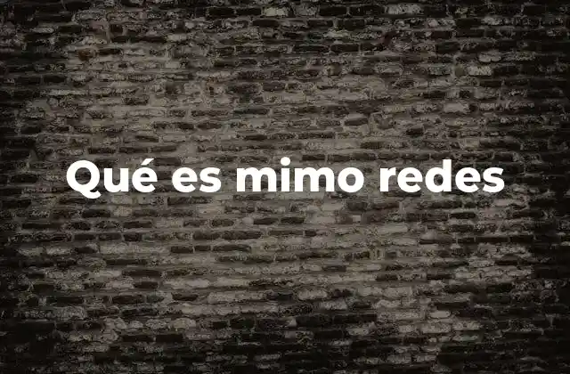 Qué es Mimo Redes