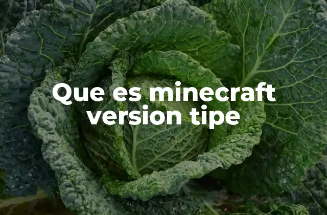 Que es Minecraft Version Tipe
