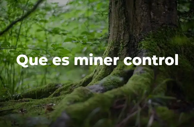 Que es Miner Control