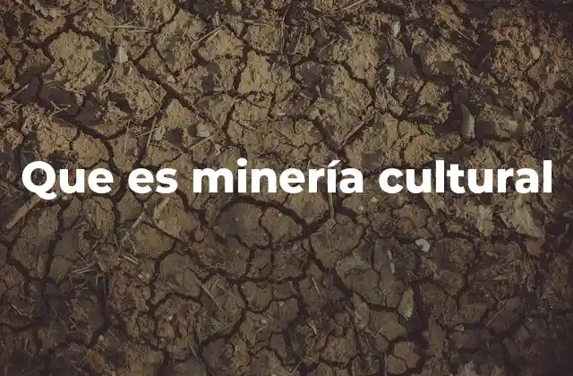 Que es Minería Cultural