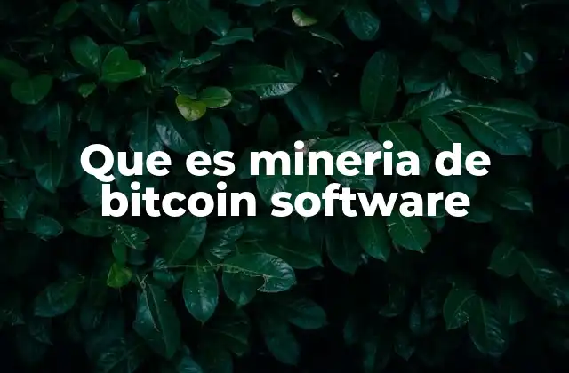 Que es Mineria de Bitcoin Software