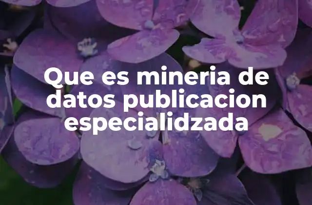Que es Mineria de Datos Publicacion Especialidzada