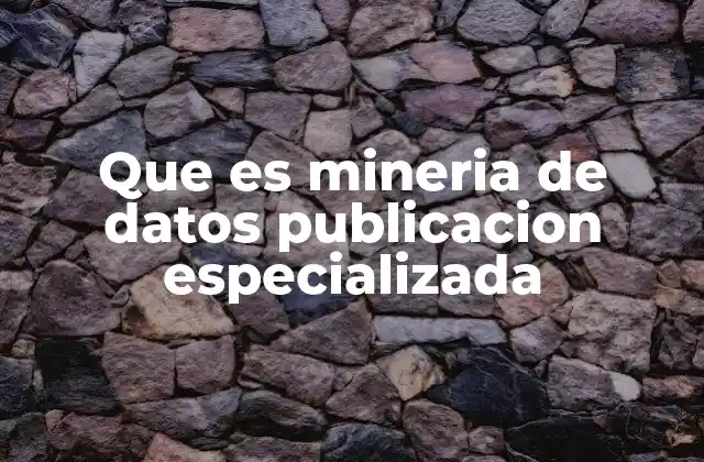 Que es Mineria de Datos Publicacion Especializada