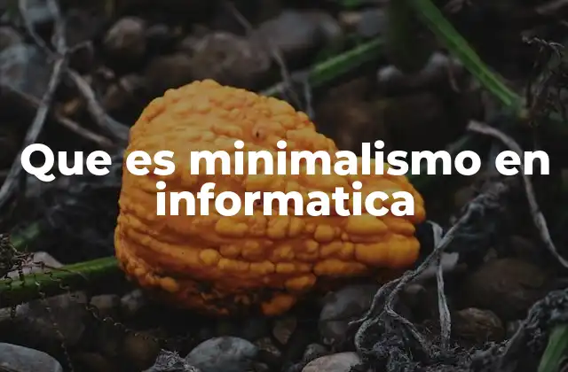 Que es Minimalismo en Informatica