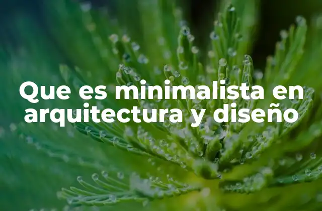 Que es Minimalista en Arquitectura y Diseño