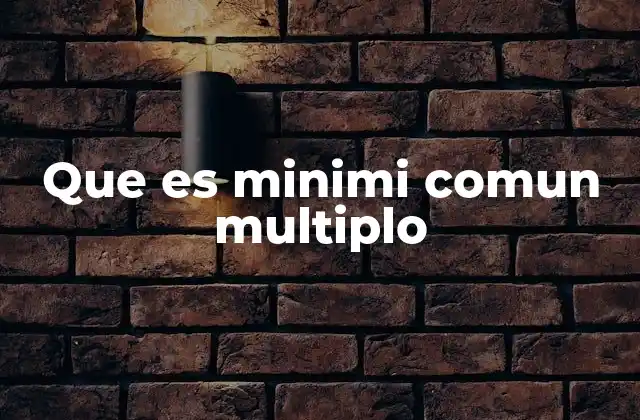 Que es Minimi Comun Multiplo