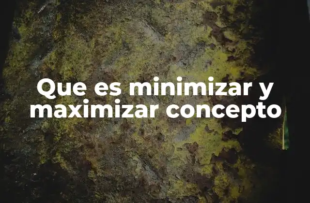 Que es Minimizar y Maximizar Concepto