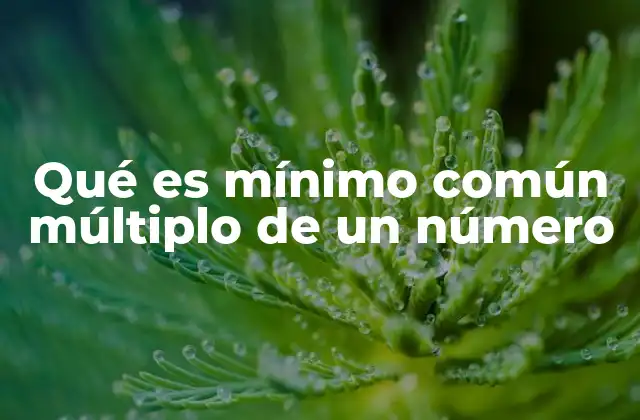 Qué es Mínimo Común Múltiplo de un Número