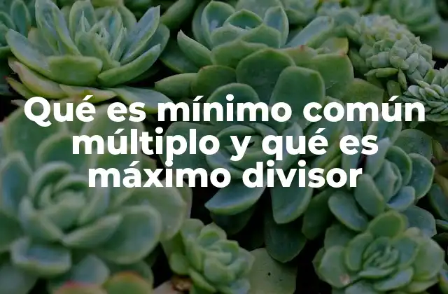 Qué es Mínimo Común Múltiplo y Qué es Máximo Divisor