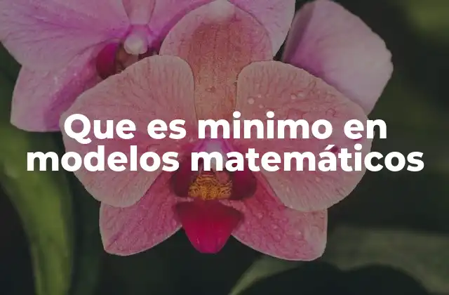 Que es Minimo en Modelos Matemáticos