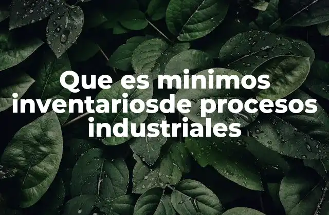 Que es Minimos Inventariosde Procesos Industriales