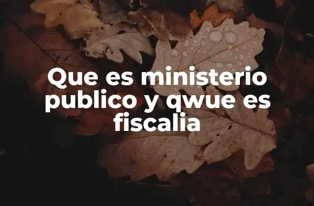 Que es Ministerio Publico y Qwue es Fiscalia