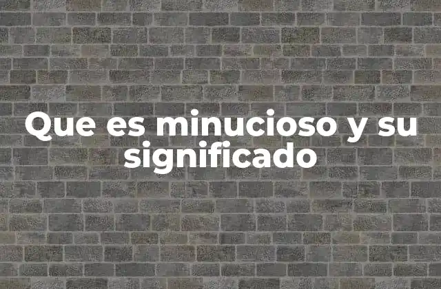 Que es Minucioso y Su Significado