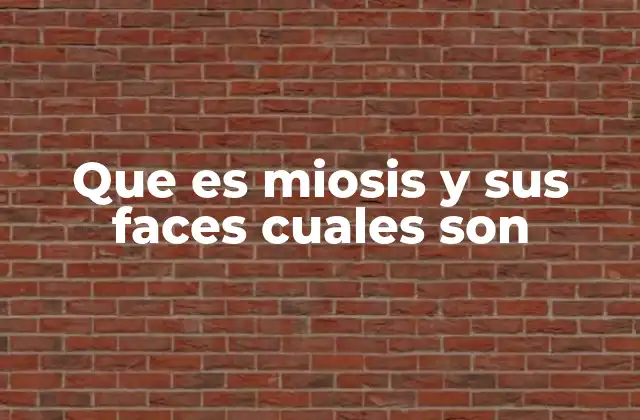Que es Miosis y Sus Faces Cuales Son