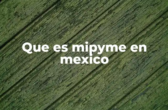 Que es Mipyme en Mexico