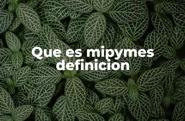Que es Mipymes Definicion