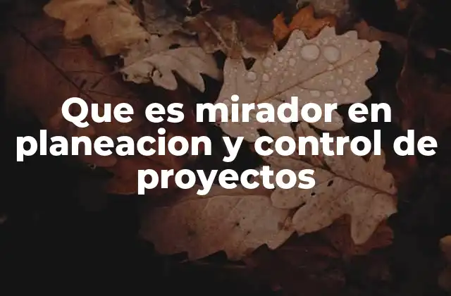 Que es Mirador en Planeacion y Control de Proyectos