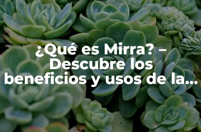 ¿qué es Mirra? – Descubre los Beneficios y Usos de la Resina Milagrosa