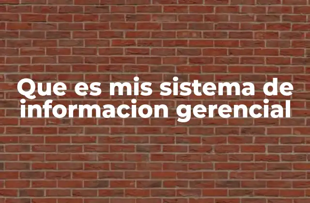 Que es Mis Sistema de Informacion Gerencial