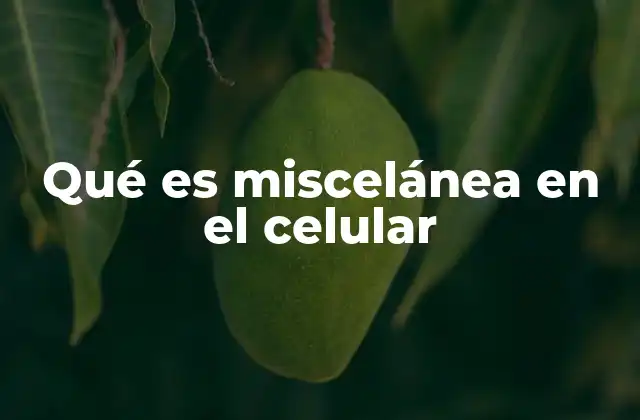 Qué es Miscelánea en el Celular