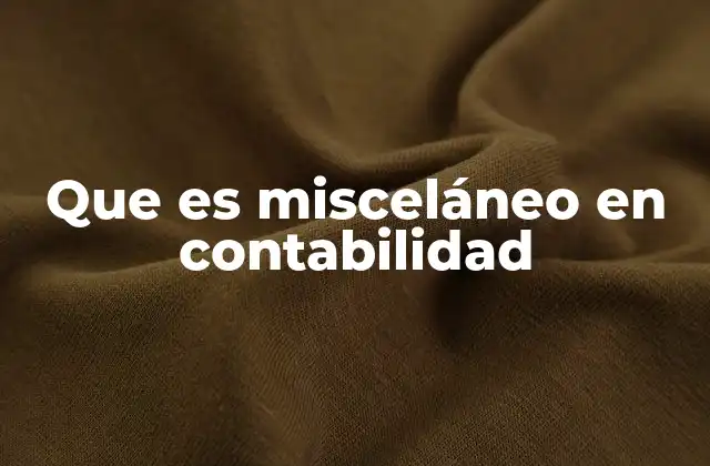 Que es Misceláneo en Contabilidad