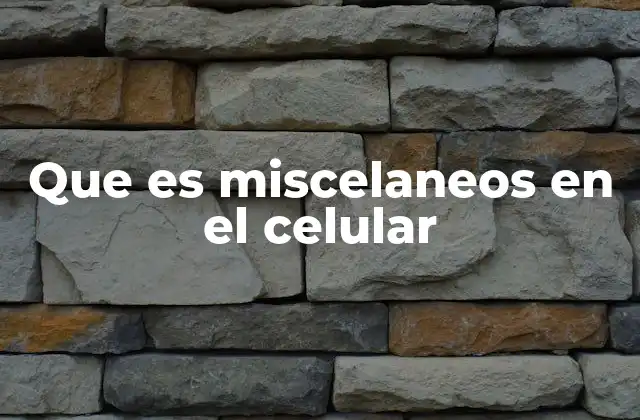 Que es Miscelaneos en el Celular