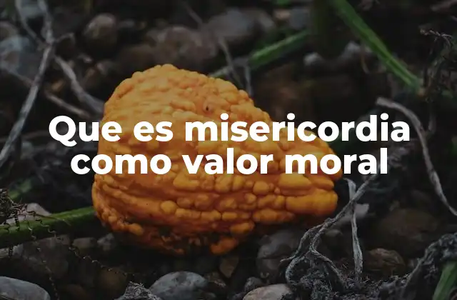 Que es Misericordia como Valor Moral