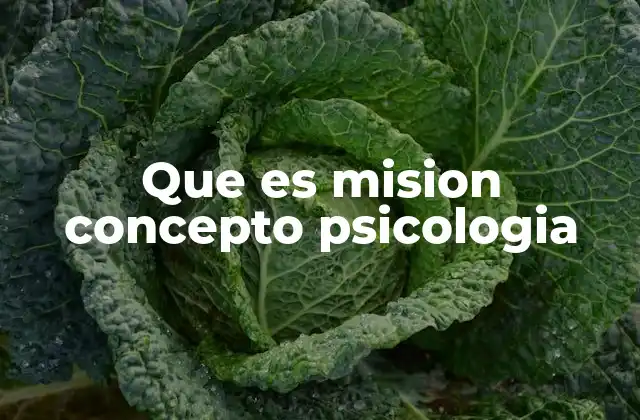 Que es Mision Concepto Psicologia